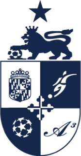A3 - POCKET 1/COLOR CREST - NAVY