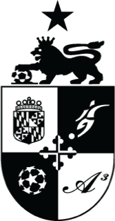 A3 - POCKET 1/COLOR CREST - BLACK
